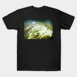 Snowflake Grass T-Shirt